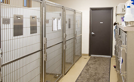 Take a look at our Hospital | Willamette Veterinary Hospital