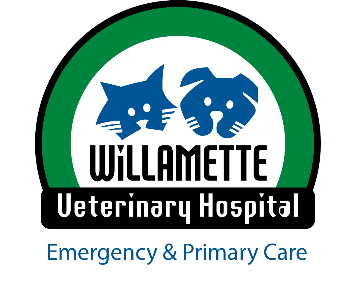 Willamette Veterinary Hospital